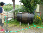 防災・停電・手動ポンプ・雨水タンク・水くみ・水まき・家庭菜園・緑のカーテン・加圧放水・浄水